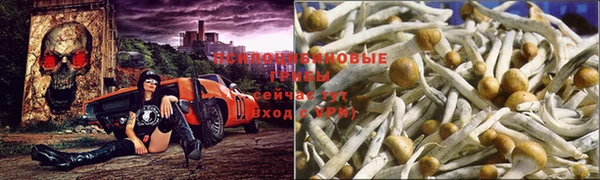MDMA Алзамай
