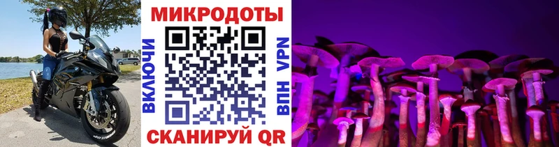 Псилоцибиновые грибы Psilocybe  OMG ССЫЛКА  Татарск 